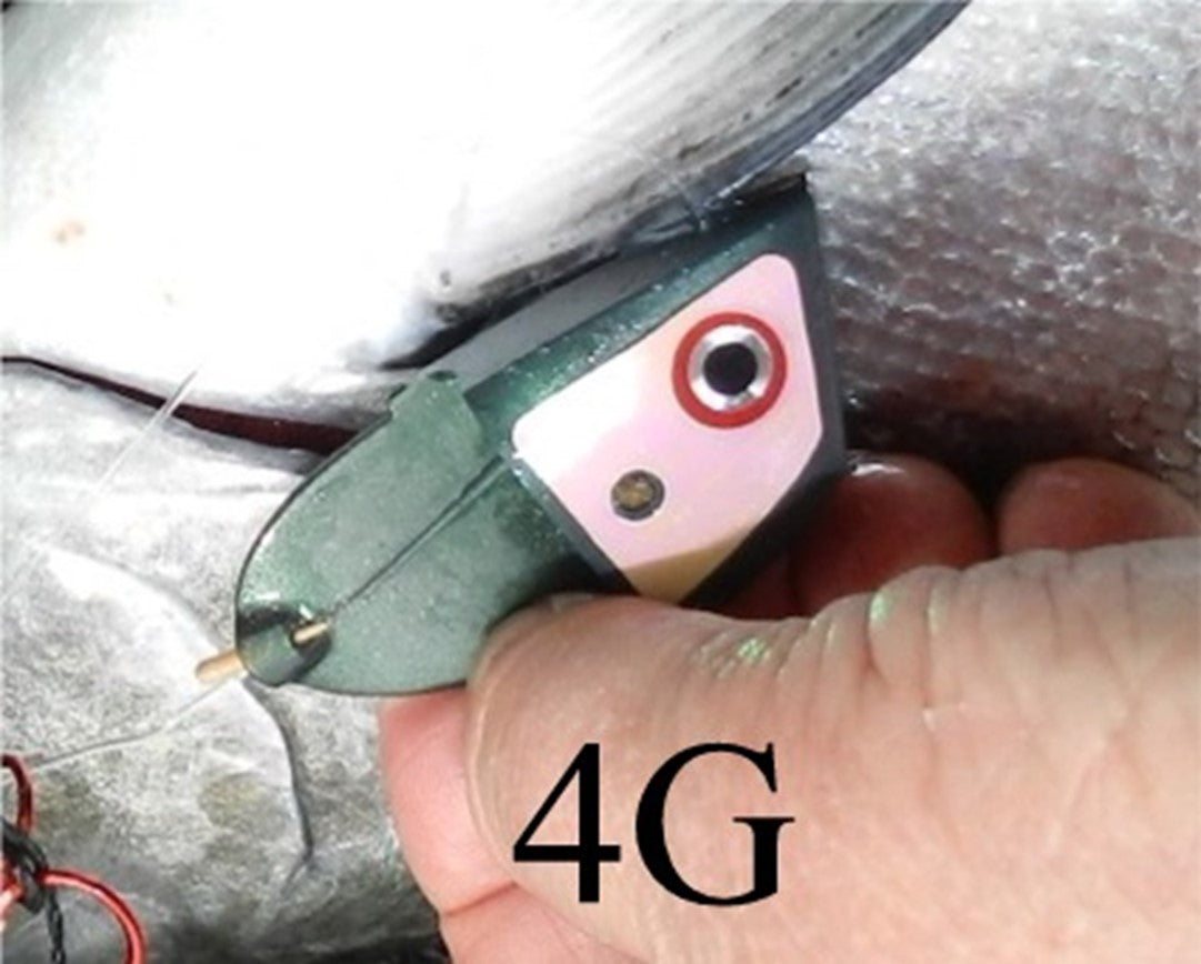DIY Kit - 4G Double Glow