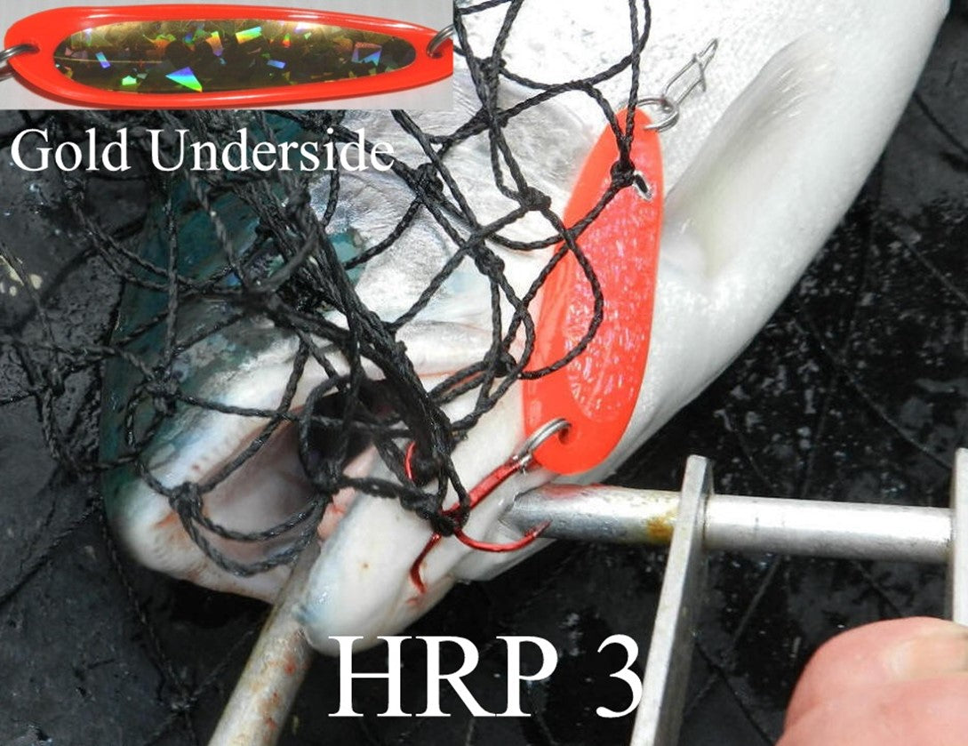 HRP 3 - Crushed Front Gold Back