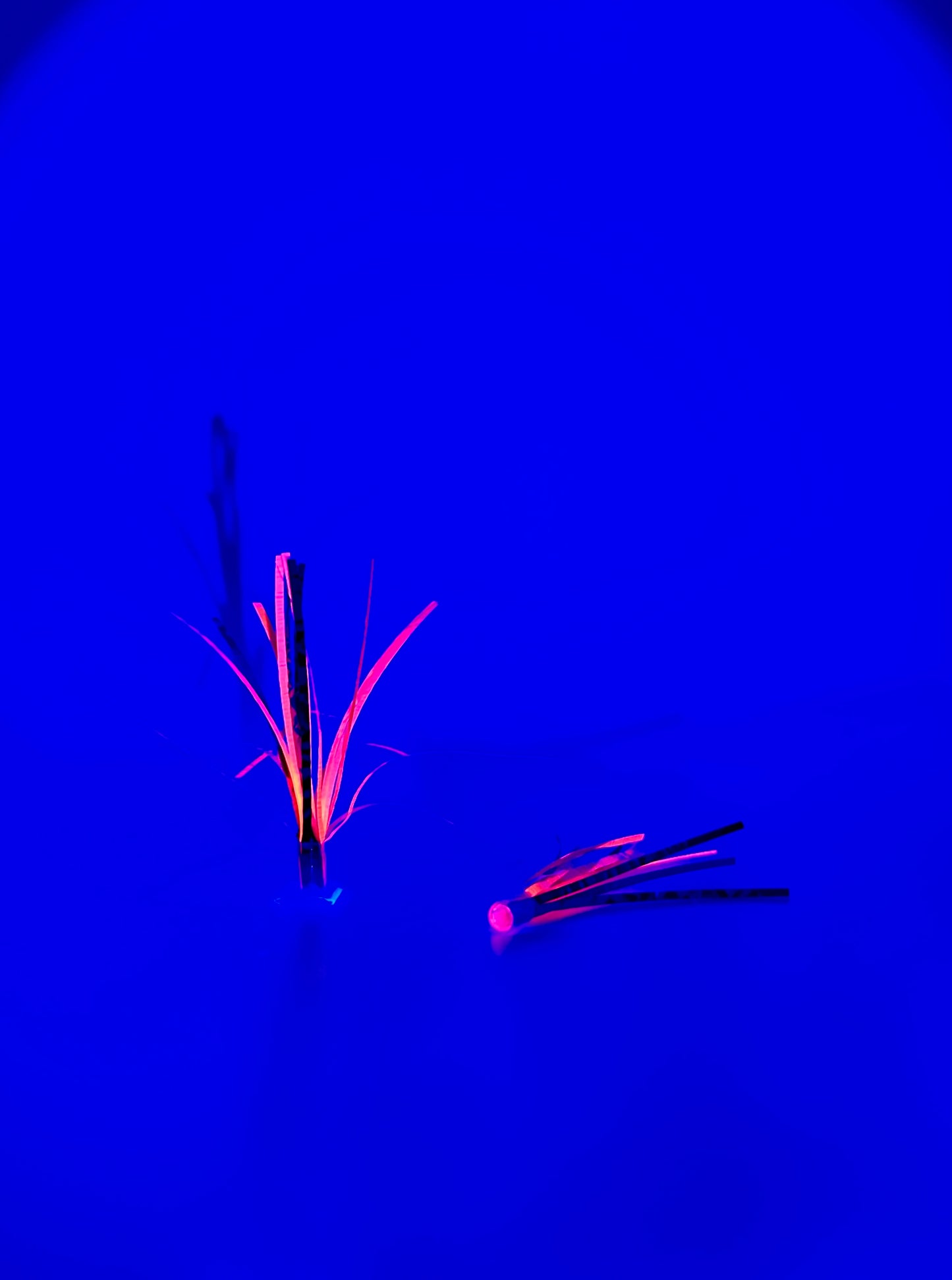 Steelie Sunset UV 2" Teaser Fly