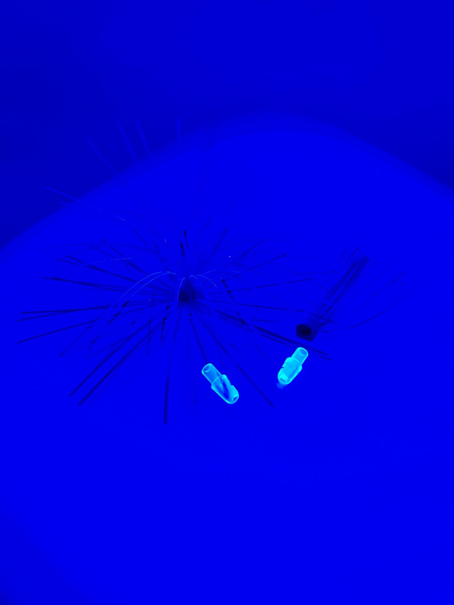 UV Little Boy Blue - Quick Change(s) - 4" Trolling Fly