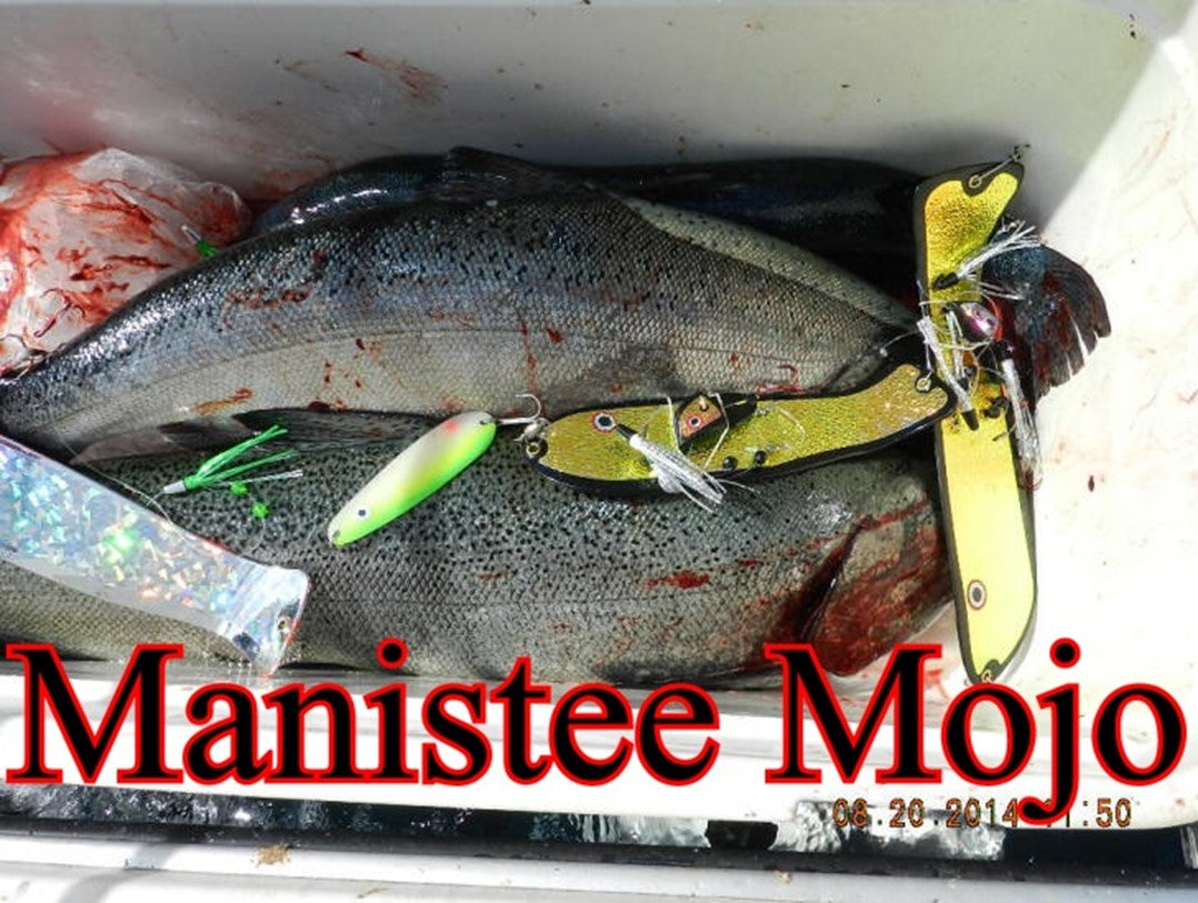 Manistee Mojo