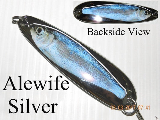 Alewife Silver